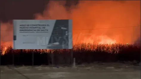 Captura de pantalla 2025-07-13 214628